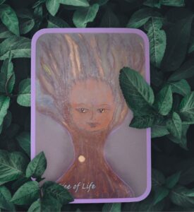Weekly Card Reading -Image of Tree of Life Oracle Card from Tree of Life Deck 